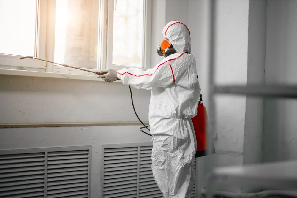 Professional mold remediation services in Manchester, PA
